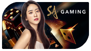 SA Suite